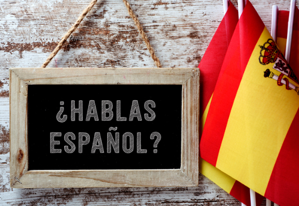 Online Spanish Language Courses - Beginners to Advanced - Options for Six, 12, or 18 Months