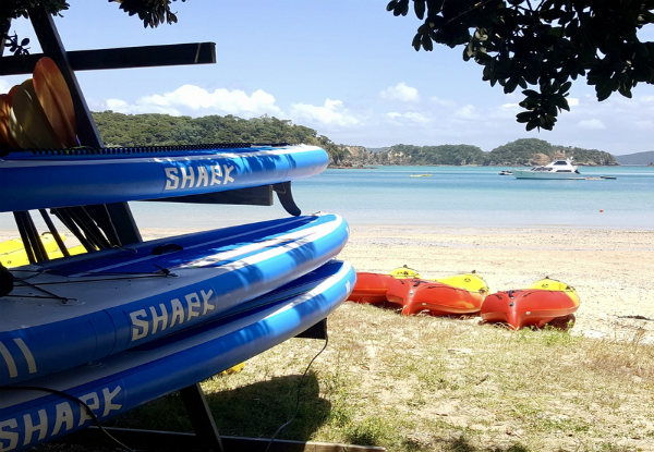 Single Kayak Hire for Two-Hours at Otehei Bay in the Bay of Islands - Options for Double Kayaks and SUPs Available