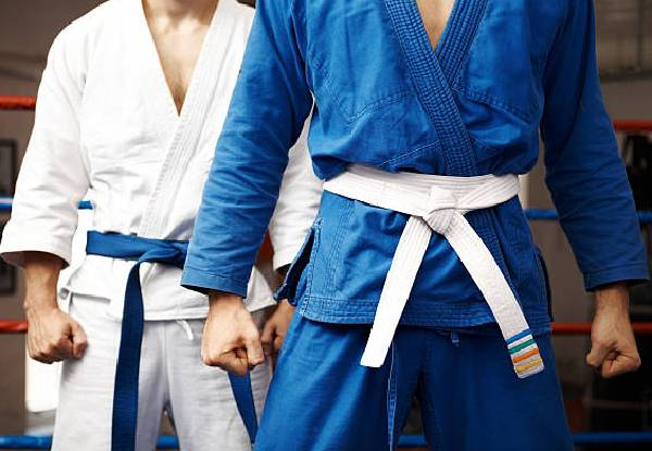 12 Weeks of Beginners' Aikido Classes - Starting 7 June 2021