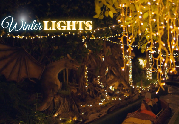 Rainbow's End Winter Lights Night Rides Pass - Option for 4 People Pass, or 4 People Pass plus Arcade Credit & Hologate Virtual Reality Quad Play - Valid Select Saturdays from 28th June to 16th August 2025