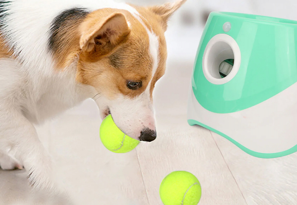 Automatic Dog Ball Launcher Incl. Three Balls - Three Colours Available