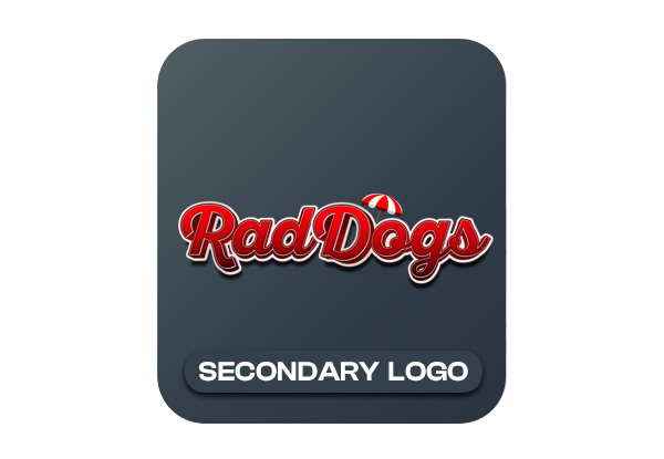 Professional Graphic Logo Design - Option for Secondary Logo Add-on