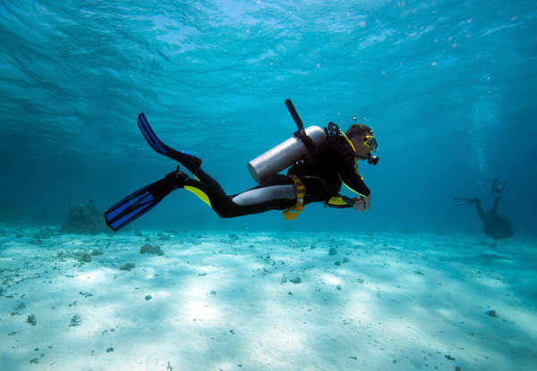 Open Water Diving Course incl. Full Gear Hire Kit & Four Dives in a Marine Reserve for One Person with Options for Two People - Option for Fin, Snorkel & Mask Set