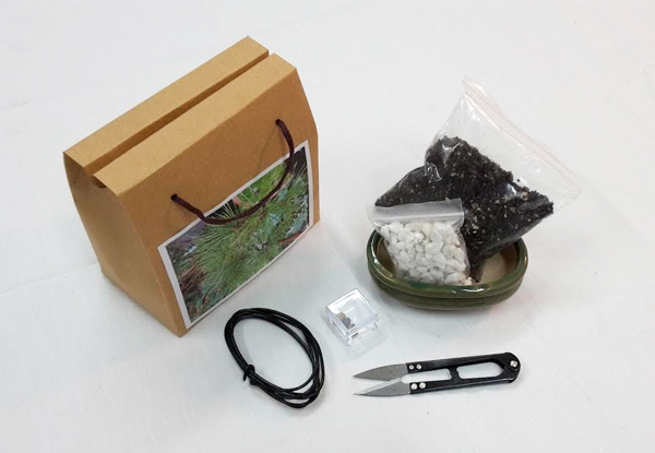 From $30 for a Bonsai Starter Kit