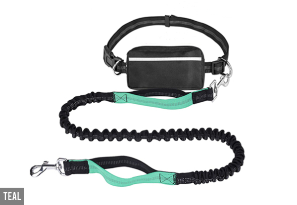 Hands-Free Dog Leash - Four Colours Available
