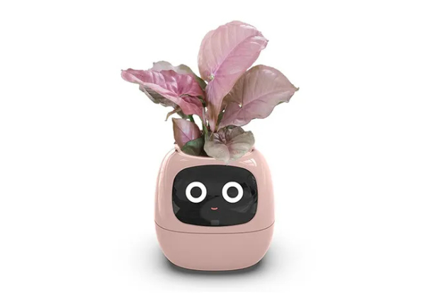 Smart Flowerpot - Two Colours Available