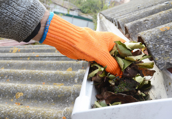 Complete Spouting & Gutter Clean-Out incl. Clearing of Debris & Flushing of all Downspouts