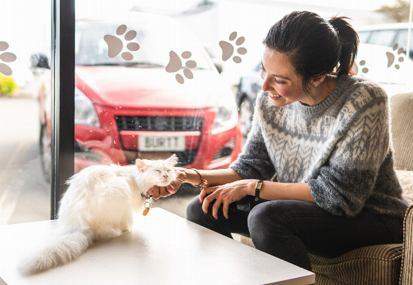 Cat Cuddles & Coffee at Catnap Cafe incl. One-Hour in the Cat Room & One Regular Hot Drink for One-Person - Option for Two People Available, Valid Tuesday to Friday