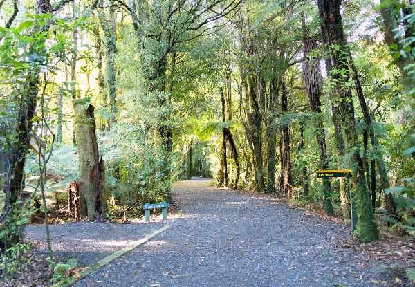 Up to 40% Off, Visit Pukaha National Wildlife Centre - Options for Single Adult Entry with Morning or Afternoon Tea, a Premium Half Day Experience for Two Adults, or a Family Guided Experience