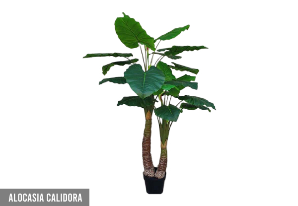 Artificial Plant - Available in Seven Styles & Three Sizes