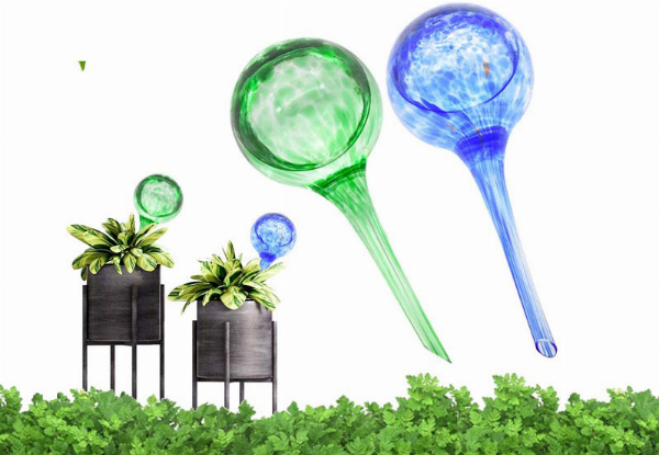 Indoor or Outdoor Plant Self-Watering Colour Globes - Two Options Available