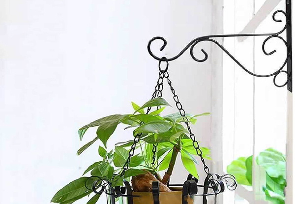 Two-Pack of Metal Wall-Mounted Hanging Plant Hooks - Three Colours Available & Option for Four-Pack