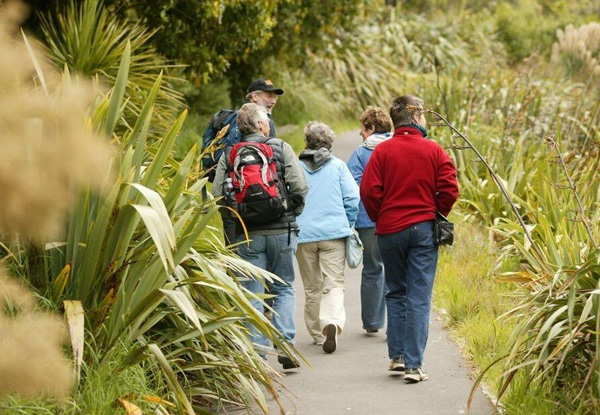 Two-Hour Zealandia by Day Guided Tour for One Adult or 2.5-Hour Zealandia by Night Guided Tour - Child Option Available