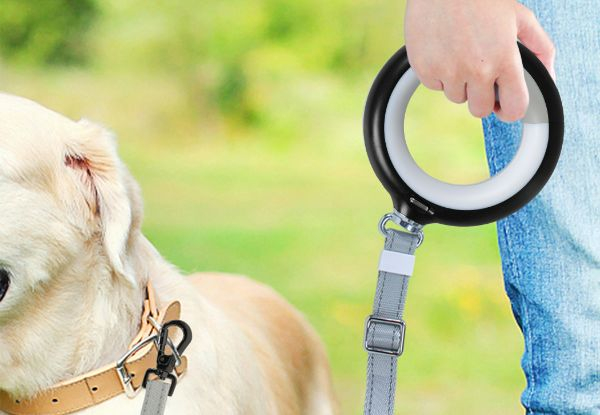 PaWz LED Extendable Dog Leash - Two Colours Available