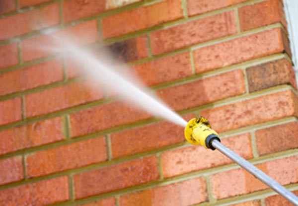 Pathway, Steps, Deck or Patio Water Blasting for Moss & Mould Removal for an Area up to 50m²