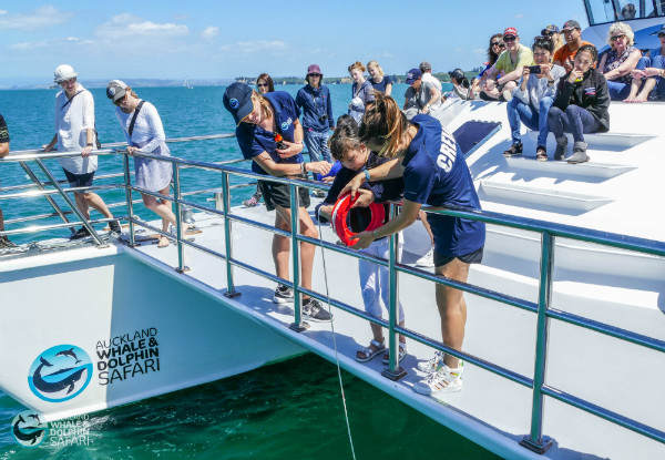 Auckland Whale & Dolphin Safari Adult Ticket 
- Option for Child Ticket Available- Valid from 13th of July