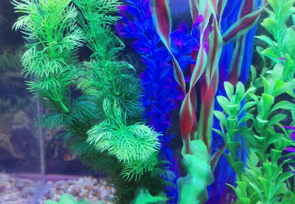 Ten-Piece Aquarium Plastic Seaweed Simulation
