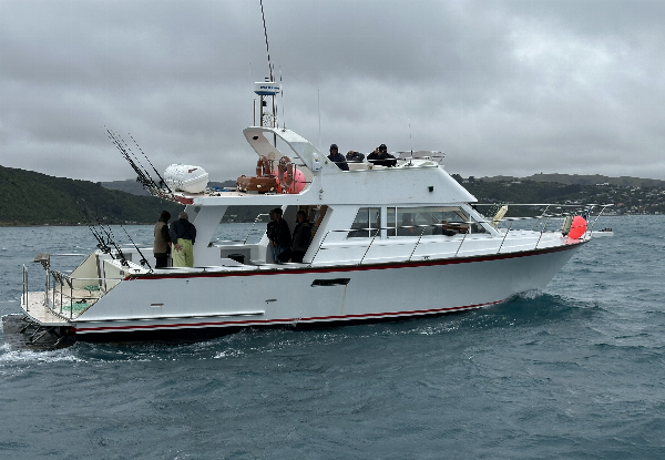 Four-Hour West Coast Fishing Trip incl. Gear Hire, Bait & Food - Options for a Six-Hour West Coast Inshore Fishing Trip in Cook Strait or Surfcasting Trip