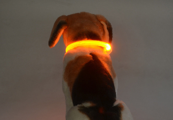 High Visibility LED Dog Collar - Five Colours Available