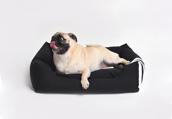 Luxury Cushioned Pet Bed - Five Sizes Available