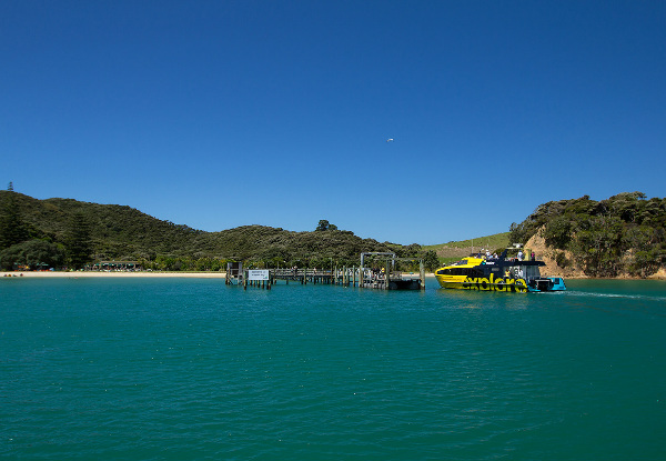 Return Ferry Trip to Otehei Bay in the Spectacular Bay of Islands - Options for Adults, Children & Families