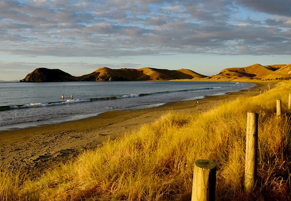 Adult Ferry Ticket to Coromandel Town Return - Option for a Child Ticket