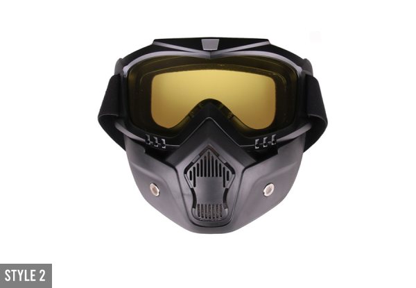 Windproof Full Face Ski Goggle Mask - Five Styles Available with Free Delivery
