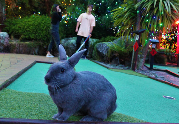 Bunny Rabbits & Family Fun Playing One Round Daytime Mini Golf - Options for Adult, Child or Family Pass