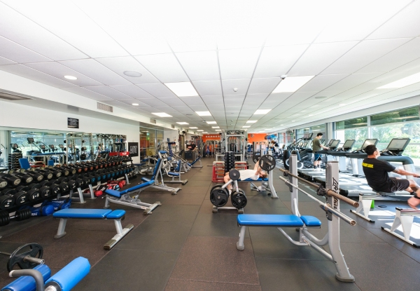 One-Month Gym Membership incl. Group Exercise Classes, Pool Access & New Member Consultation - Three Locations Available