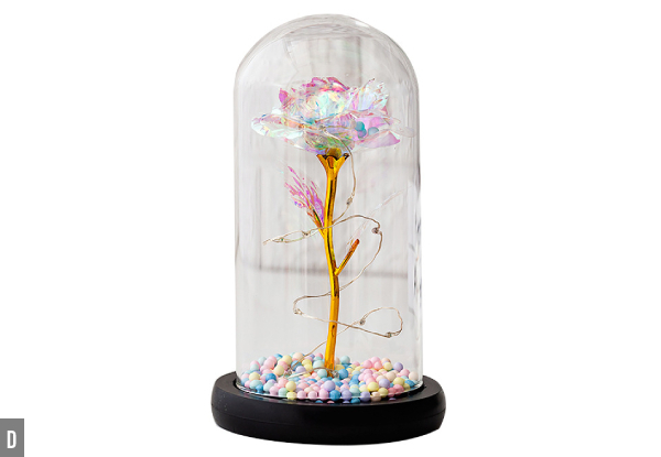 Romantic Decorative Glass Dome - Four Styles Available