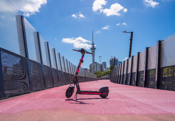 50% Off Flamingo Scooters Credit - Options for $40 to $200 Credit