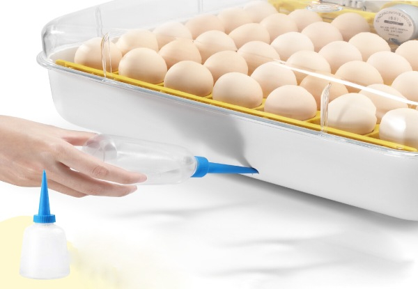 42 Egg Incubator with LED Candle Lamps
