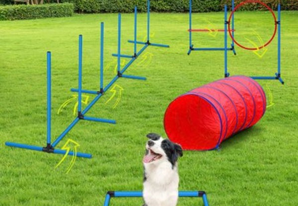 Petscene Five-Piece Dog Agility Training Kit