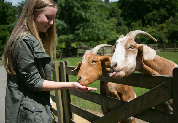 One Adult Entry or One Child Entry to Paradise Valley Springs Wildlife Park