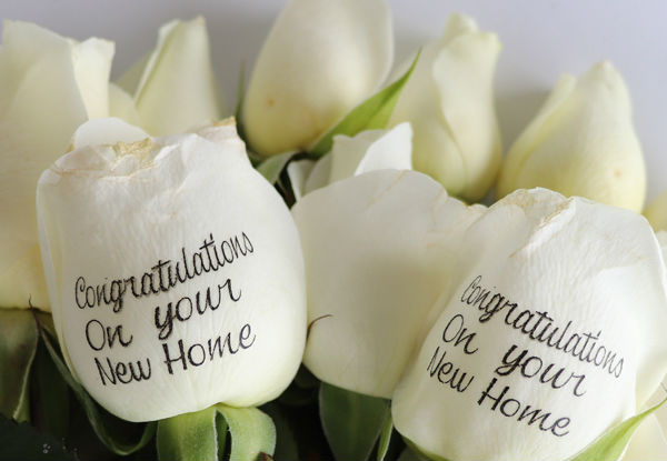 Six or Twelve Celebration Bouquet of Roses with any Custom or Standard Printed Message on One or Two Roses incl. Free Auckland Delivery - Choose from Four Different Colours