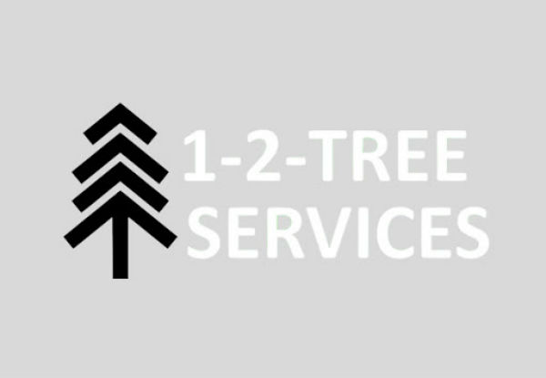 One Hour of Tree Maintenance Work from Professional Arborist & Ground Labourer - Option for Two Hours