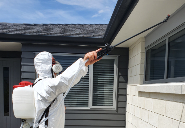Pest Control for a Two-Bedroom House - Options for up to Five-Bedroom