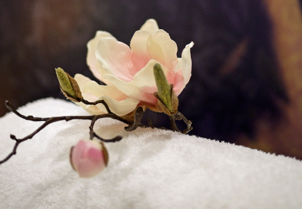 The Spa 30-Minute Relaxation Massage & 30-Minute Hot Soak - Option for 90-Minute Pamper Package incl. Hot Soak, Relaxation Massage & Mud or Manuka Honey Facial - Valid Monday to Friday