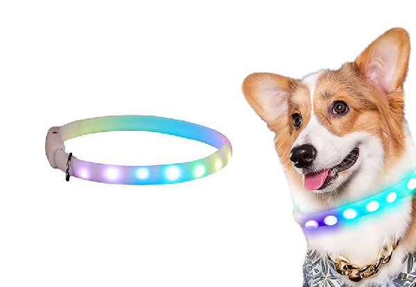 LED Dog Collar - Option for Two