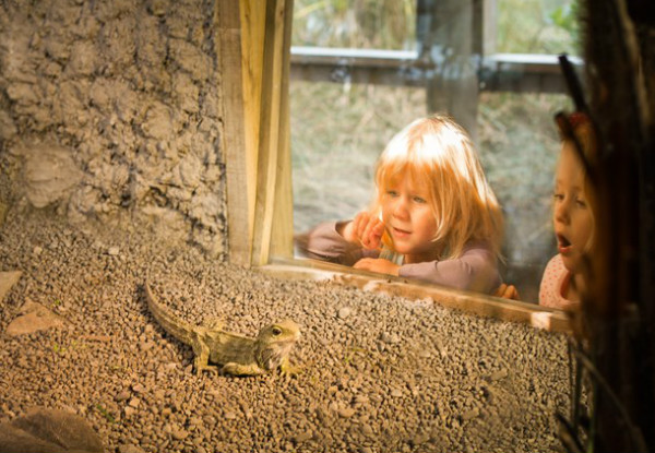 Child Entry to the Willowbank Wildlife Reserve - Options for Adult Entry Available