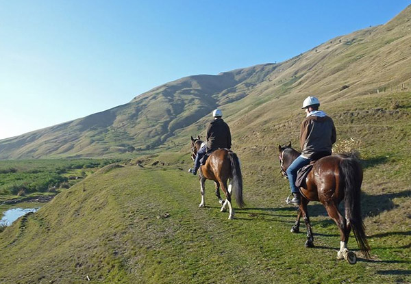 $60 for a Two-Hour Horse Ride – Options for up to Six People (value up to $570)