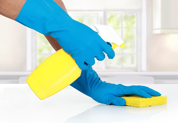 Four-Hour Deep House Clean - Options for up to Seven Hours & for Oven or Window Cleaning