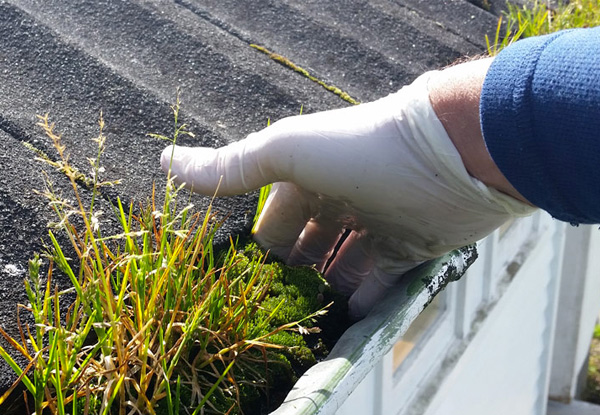 Roof Treatment for Moss, Mould, Lichen, Roof & Gutter Inspection for up to a Three-Bedroom Home - Options for up to Five-Bedrooms