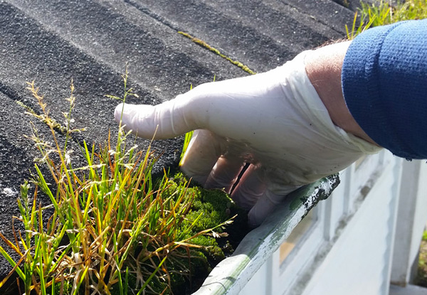 Two-Bedroom Full House Wash incl. Exterior Window Clean, Exterior Pest Inspection, Gutter Inspection & Roof Inspection - Options for up to Five-Bedroom Homes