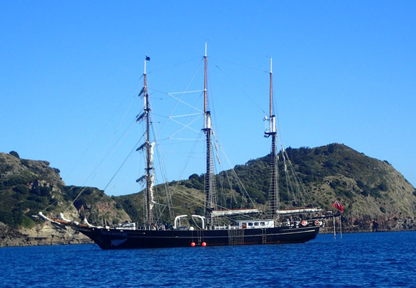 Sail The High-Seas with a Half-Day Sailing Experience Onboard Spirit of New Zealand