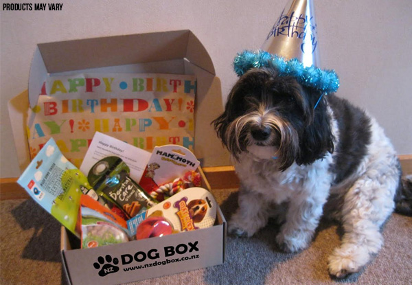 puppy surprise box