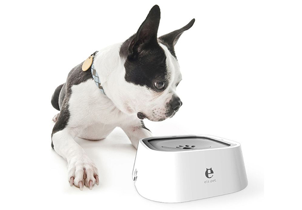 No-Spill Slow Water Pet Water Bowl - Available in Four Colours
