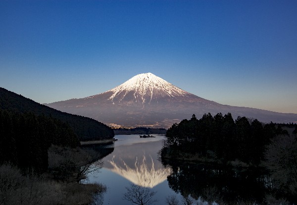 Per-Person, Twin-Share Seven-Night Highlights of Japan Tour with Stops in Osaka, Kyoto, Nara, Nagoya, Mount Fuji & Tokyo incl. Return International Flights, Accommodation, Transport & Guide