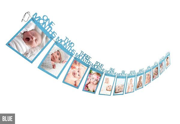 DIY Monthly Baby Photo Banner - Four Colours Available