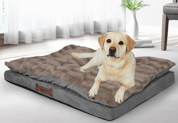 PaWz Memory Foam Dog Bed - Three Sizes Available